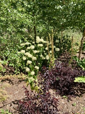 Burghley House by null