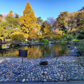 Japanese Gardens - Garden/pond - Parks Near Me - San Mateo, California Japanese Gardens - Garden/pond - Parks Near Me - San Mateo, California