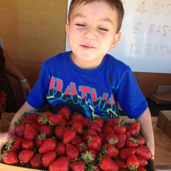 The Strawberry Patch - Farmers Market Near Me - Sacramento, California The Strawberry Patch - Farmers Market Near Me - Sacramento, California
