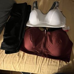 Lane Bryant - My purchases-  two sports bra and biker shorts