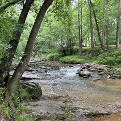 Victoria Bryant State Park - Stream through the woods