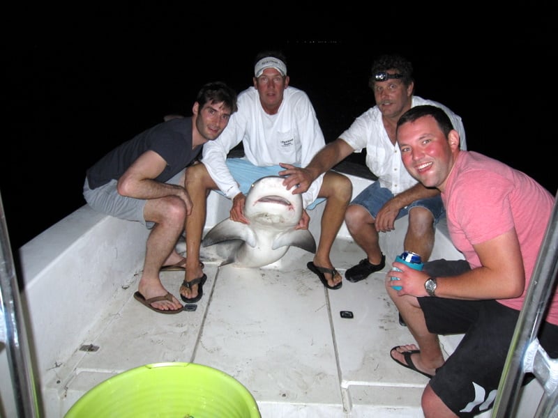 Tampa Fishing Charters Logo