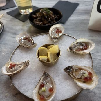 TORI TORI - oysters - Cocktail Bars Near Me - Orlando, Florida