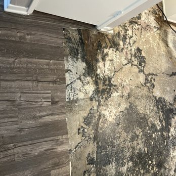 Canyon Crest Views Apartments - More black mold, underneath the floor that they had to remove for the flooding that occurred this week. - Apartments Near Me - Riverside, California