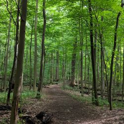 Rum Village Park Disc Golf Course - Lovely path!