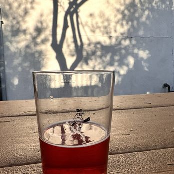 Wren House Brewing - Enjoying the patio! - Breweries Near Me - Phoenix, Arizona Wren House Brewing - Enjoying the patio! - Breweries Near Me - Phoenix, Arizona