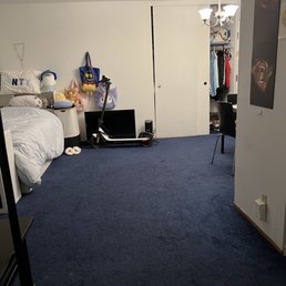Clean carpet!