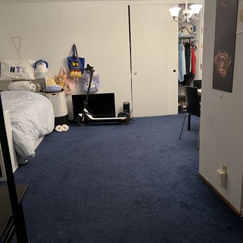Organic Cleaning Service - Clean carpet! - Home Cleaning Near Me - Pinole, California
