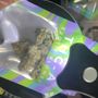 Photo of Amsterdam Smokes