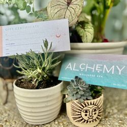 Alchemy Massage & Wellness Spa