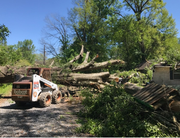 Liberty Fence of Baton Rouge - tree service in Baton Rouge, LA