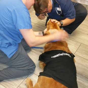 VCA El Rancho Animal Hospital - The best team ever - Veterinarians Near Me - Temecula, California VCA El Rancho Animal Hospital - The best team ever - Veterinarians Near Me - Temecula, California
