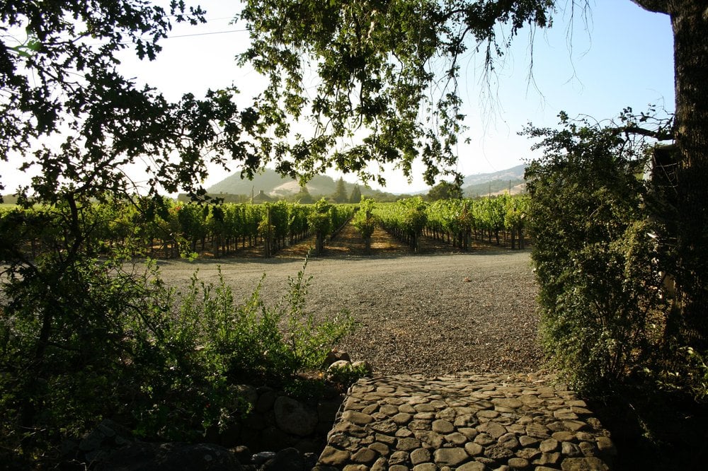 Gemstone Vineyard Logo