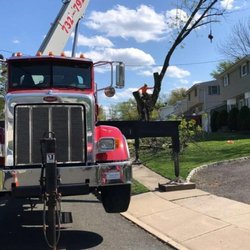 D&S Tree Service