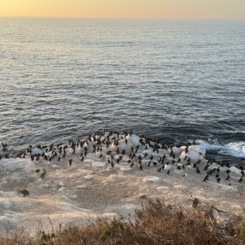 La Jolla Cove - Parks Near Me - La Jolla, California La Jolla Cove - Parks Near Me - La Jolla, California