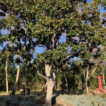 Cerritos Sculpture Garden - Public Art Near Me - Cerritos, California