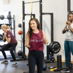 Fitness Evolution