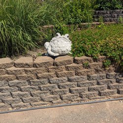 Timbavati Wildlife Park - The only animal that should be in a zoo -- a Statue of a frog!!!
