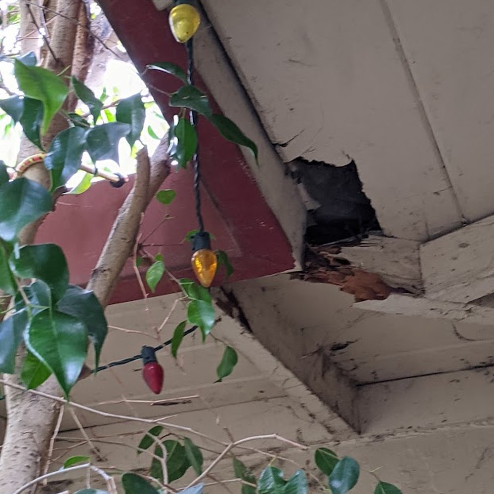 Palumbo Construction - Some of the dry rot under the eaves. - General Contractors Near Me