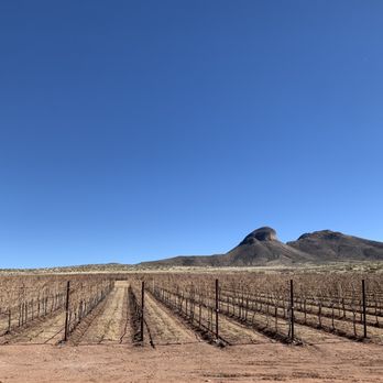 Los Milics Vineyards - View from the patio. - Wine Tasting Room Near Me - Elgin, Arizona