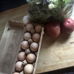 The Filling Station NLR - Eggs, tomatoes and mixed bag of lettuce
