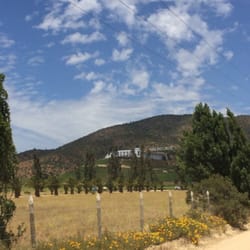 Viña Indómita - Drive into vineyard.