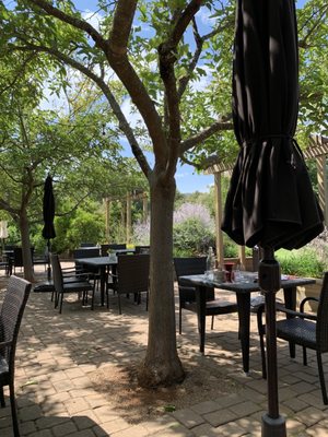 Truett Hurst Winery by null