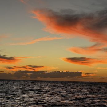 Moana Sailing - Sunset 09/25/23 - Boat Charters Near Me - Honolulu, Hawaii Moana Sailing - Sunset 09/25/23 - Boat Charters Near Me - Honolulu, Hawaii