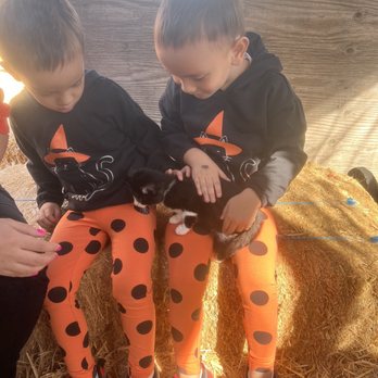 Impossible Acres Farm - Pick Your Own Farms Near Me - Davis, California