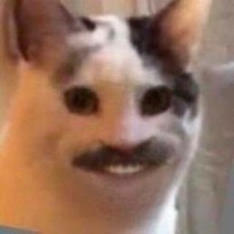me smiling at my plate me smiling at my plate