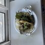 Photo of Taqueria Jesus