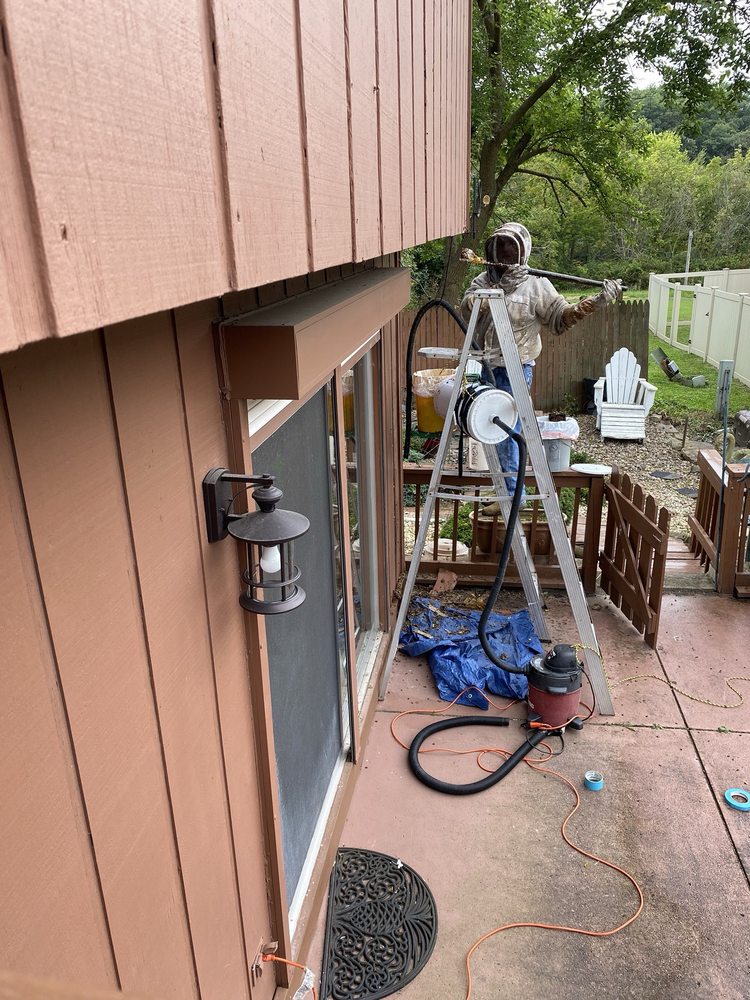 City Bee Savers - beekeeping in Wheaton, IL