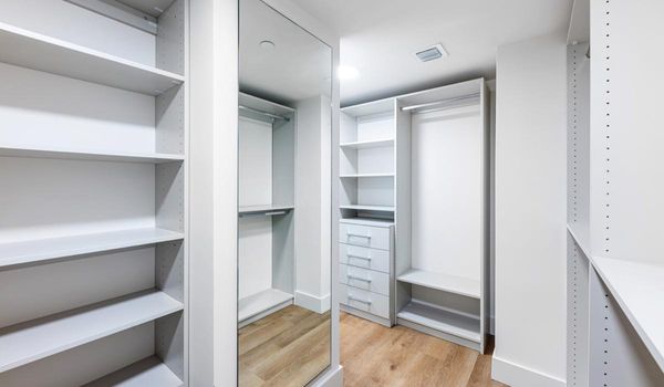 The Hamilton by null