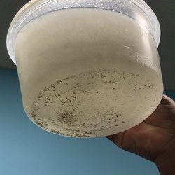 Elimilice - The lice that were removed