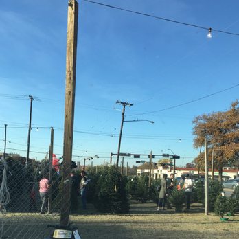 Patton's Christmas Trees - Casa Linda location/previously purchased from Mockingbird location. - Christmas Trees Near Me - Dallas, Texas Patton's Christmas Trees - Casa Linda location/previously purchased from Mockingbird location. - Christmas Trees Near Me - Dallas, Texas