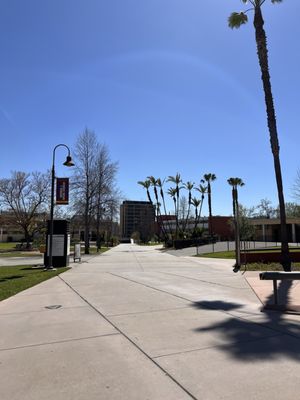 California State University, Los Angeles by null