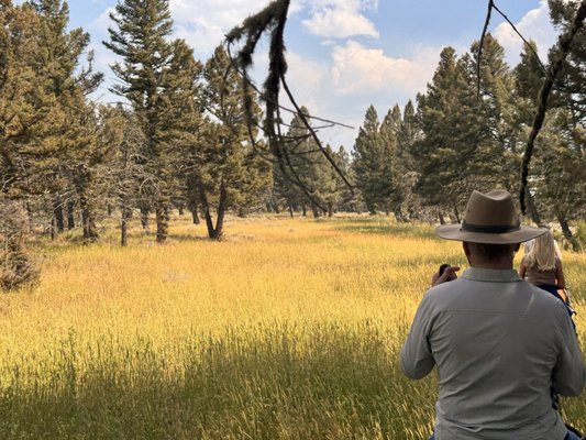 Jake's Horses Inc. by null