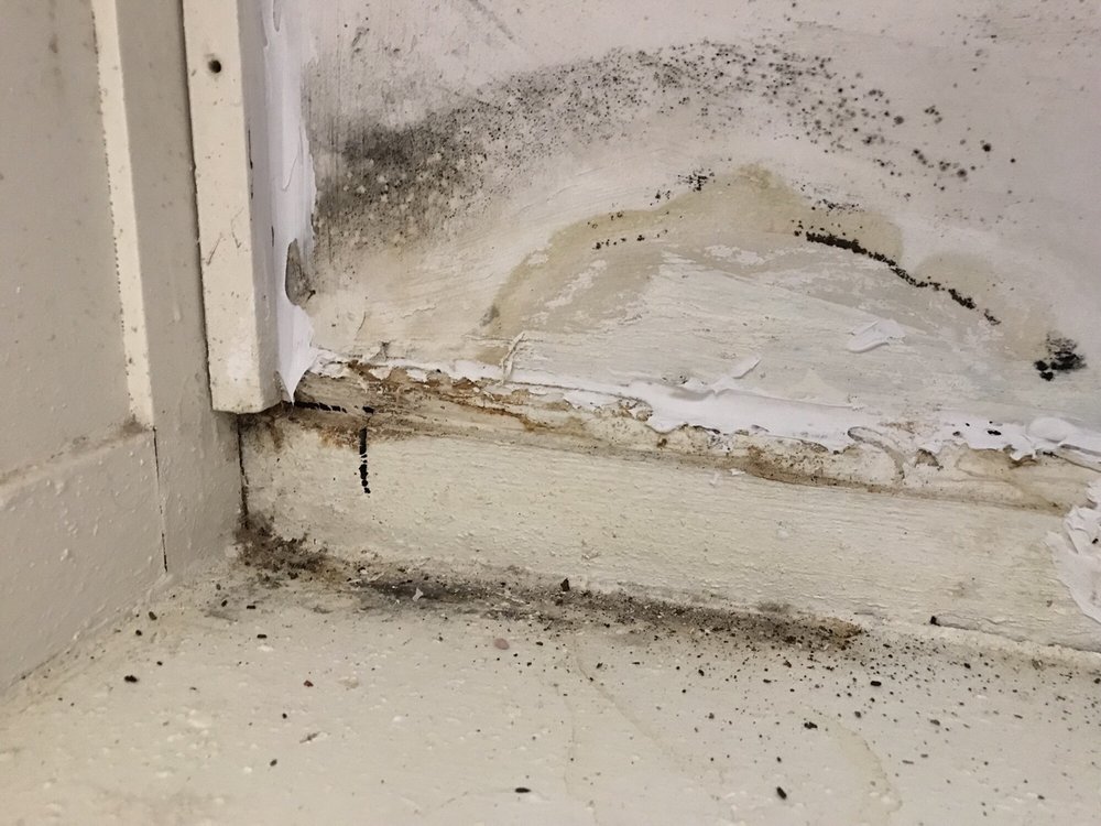 TALBOT PARK APARTMENTS Updated September 2024 118 Warren St