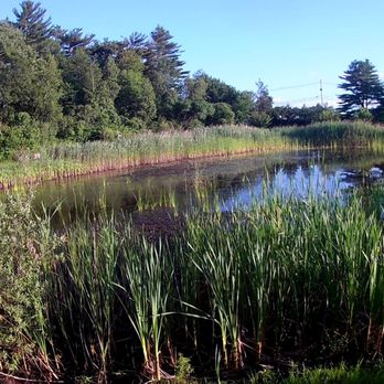 Hidden Pond - Parks Near Me - Hingham, Massachusetts Hidden Pond - Parks Near Me - Hingham, Massachusetts