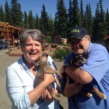 Husky Homestead Tours - Tours Near Me - Denali Park, Alaska Husky Homestead Tours - Tours Near Me - Denali Park, Alaska