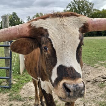 Fishers AgriPark - Farms Near Me - Fishers, Indiana
