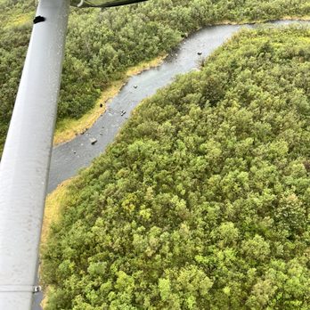 AA Seward Air Tours - Zoom in and see bears eating salmon on the river! So cool - Tours Near Me - Seward, Alaska AA Seward Air Tours - Zoom in and see bears eating salmon on the river! So cool - Tours Near Me - Seward, Alaska