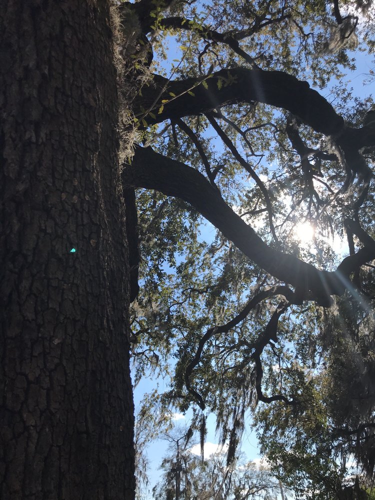 FOOD LION Updated October 2024 10 Sams Point Rd, Beaufort, South