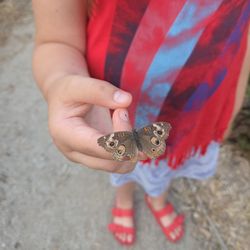 Port Austin Butterfly House and Garden