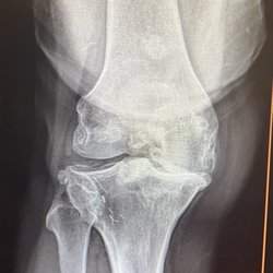 Amory David MD - The "before". It's a hot mess!!