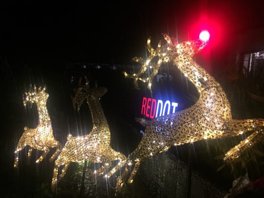 RedDot Brewhouse by null