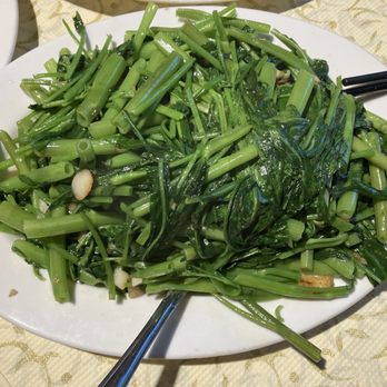 Boston Lobster - 蒜炒空心菜 or Râu Muống Xào Tỏi or Sauteed Ong Choy $13.95 - Chinese Near Me - Rosemead, California Boston Lobster - 蒜炒空心菜 or Râu Muống Xào Tỏi or Sauteed Ong Choy $13.95 - Chinese Near Me - Rosemead, California