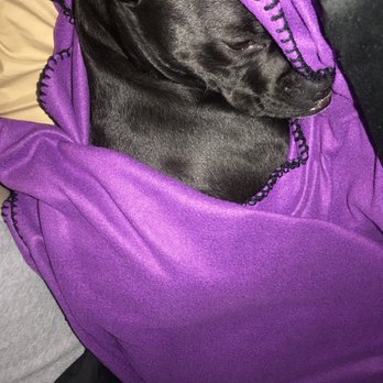 Abandoned Animal Rescue - Animal Shelters Near Me - Magnolia, Texas Abandoned Animal Rescue - Animal Shelters Near Me - Magnolia, Texas