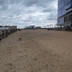 Belleview Station Dog Park