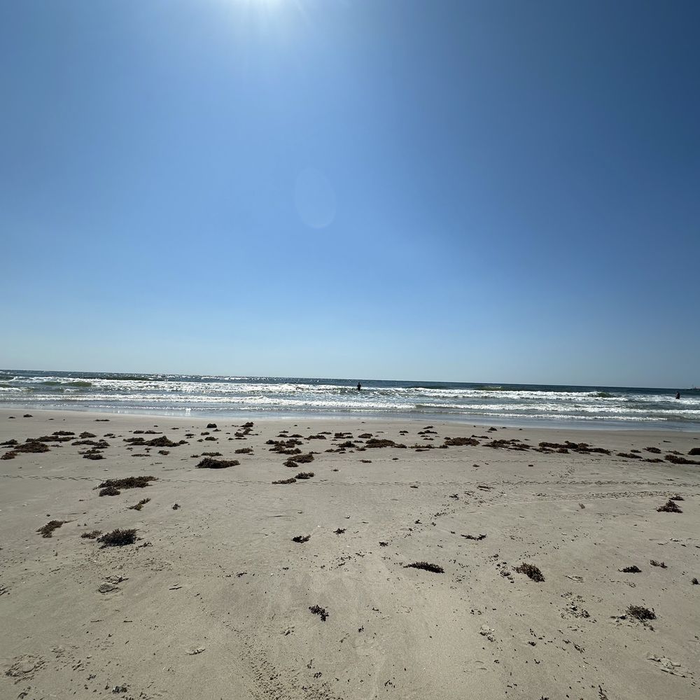 Lively Beach - Vacation Rentals Near Me - Corpus  Christi, Texas